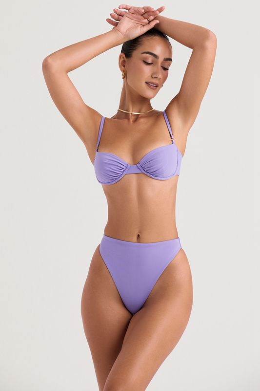 Bas De Bikini House Of Cb High Taille Violette | PGH-346851